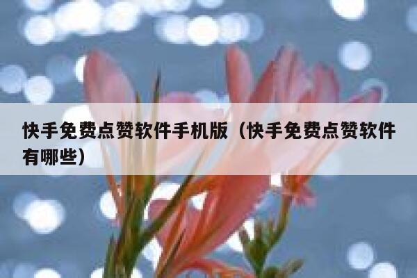快手免费点赞软件手机版(快手免费点赞软件有哪些) 第1张 快手免费点赞软件手机版(快手免费点赞软件有哪些) 第1张