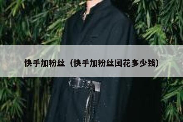 快手加粉丝(快手加粉丝团花多少钱) 第1张 快手加粉丝(快手加粉丝团花多少钱) 第1张