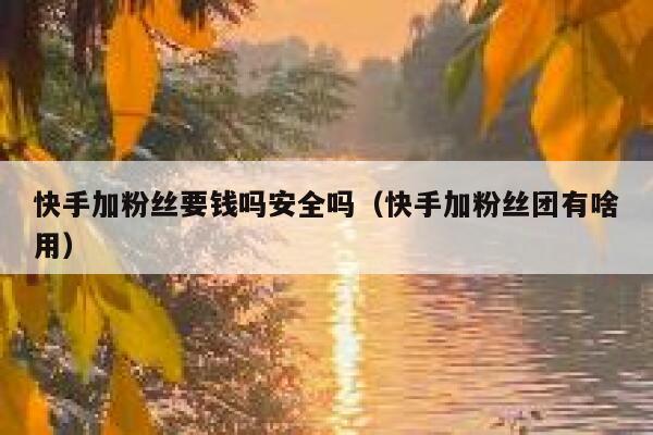 快手加粉丝要钱吗安全吗(快手加粉丝团有啥用) 第1张 快手加粉丝要钱吗安全吗(快手加粉丝团有啥用) 第1张