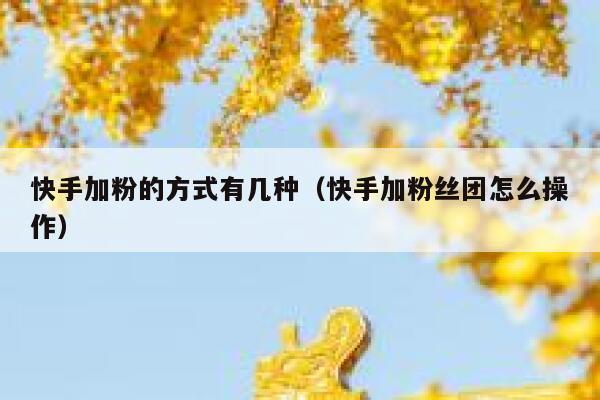 快手加粉的方式有几种(快手加粉丝团怎么操作) 第1张 快手加粉的方式有几种(快手加粉丝团怎么操作) 第1张