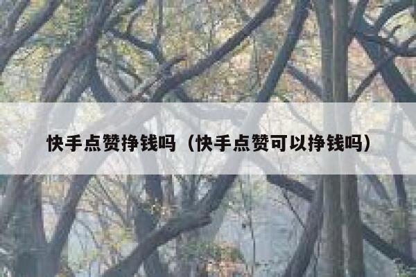 快手点赞挣钱吗(快手点赞可以挣钱吗) 第1张 快手点赞挣钱吗(快手点赞可以挣钱吗) 第1张