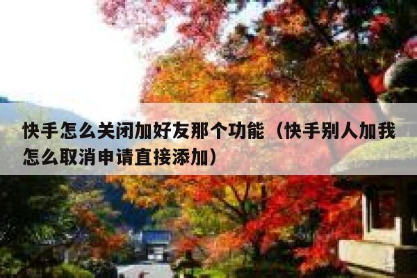 快手怎么关闭加好友那个功能(快手别人加我怎么取消申请直接添加) 第1张 快手怎么关闭加好友那个功能(快手别人加我怎么取消申请直接添加) 第1张