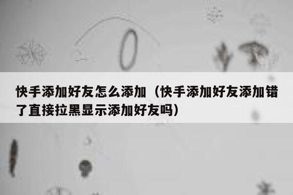快手添加好友怎么添加(快手添加好友添加错了直接拉黑显示添加好友吗) 第1张 快手添加好友怎么添加(快手添加好友添加错了直接拉黑显示添加好友吗) 第1张