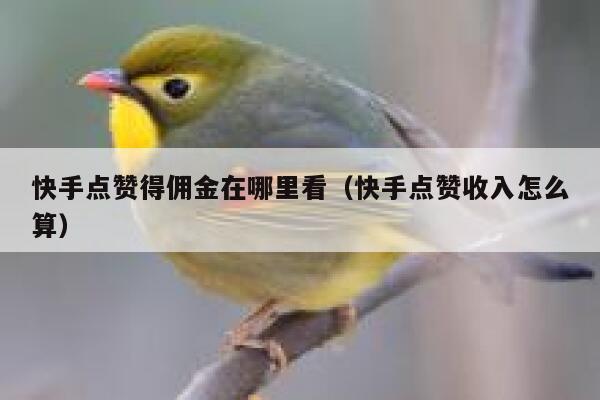 快手点赞得佣金在哪里看(快手点赞收入怎么算) 第1张 快手点赞得佣金在哪里看(快手点赞收入怎么算) 第1张