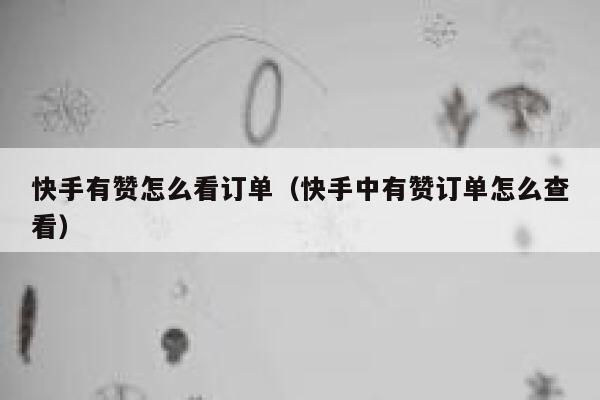 快手有赞怎么看订单(快手中有赞订单怎么查看) 第1张 快手有赞怎么看订单(快手中有赞订单怎么查看) 第1张