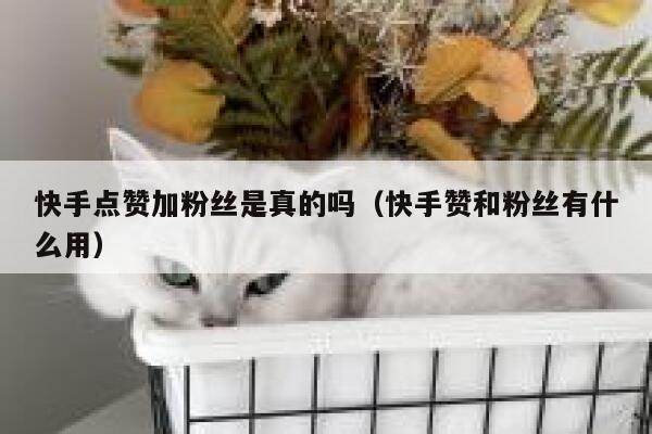 快手点赞加粉丝是真的吗（快手赞和粉丝有什么用） 第1张