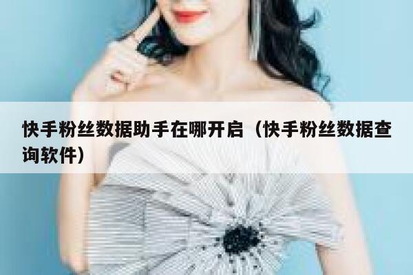快手粉丝数据助手在哪开启(快手粉丝数据查询软件) 第1张 快手粉丝数据助手在哪开启(快手粉丝数据查询软件) 第1张