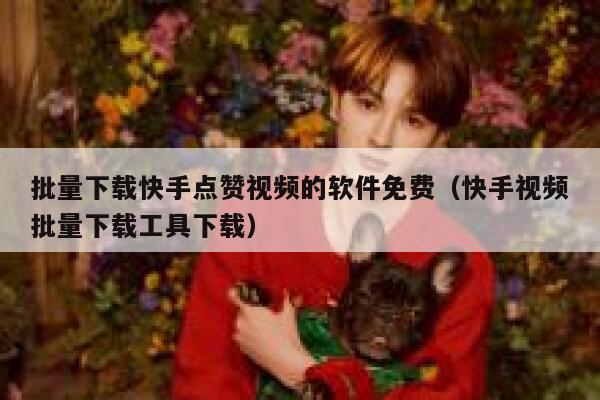 批量下载快手点赞视频的软件免费（快手视频批量下载工具下载） 第1张