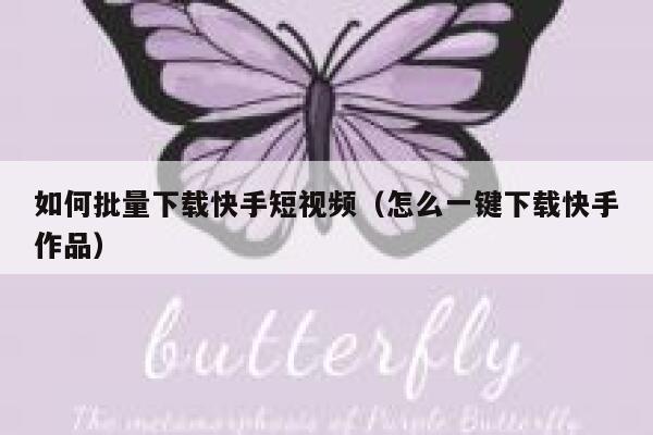 如何批量下载快手短视频（怎么一键下载快手作品） 第1张