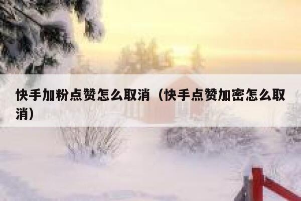 快手加粉点赞怎么取消(快手点赞加密怎么取消) 第1张 快手加粉点赞怎么取消(快手点赞加密怎么取消) 第1张