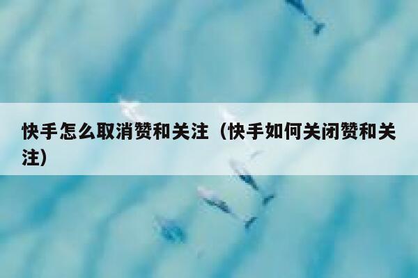 快手怎么取消赞和关注(快手如何关闭赞和关注) 第1张 快手怎么取消赞和关注(快手如何关闭赞和关注) 第1张