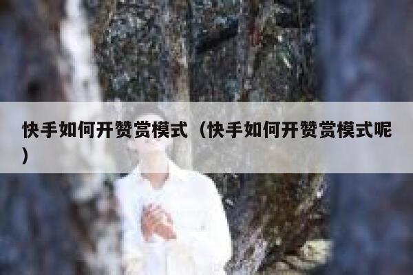 快手如何开赞赏模式（快手如何开赞赏模式呢） 第1张