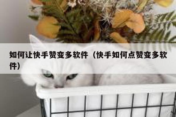 如何让快手赞变多软件（快手如何点赞变多软件） 第1张