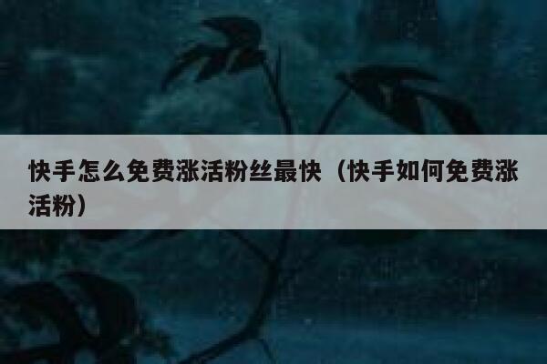 快手怎么免费涨活粉丝最快（快手如何免费涨活粉） 第1张