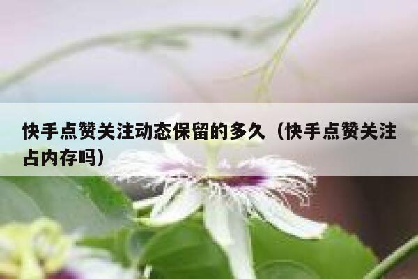 快手点赞关注动态保留的多久（快手点赞关注占内存吗） 第1张