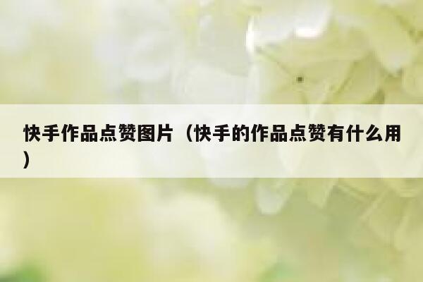 快手作品点赞图片(快手的作品点赞有什么用) 第1张 快手作品点赞图片(快手的作品点赞有什么用) 第1张