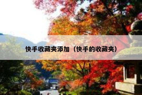 快手收藏夹添加（快手的收藏夹） 第1张