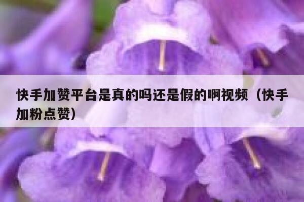 快手加赞平台是真的吗还是假的啊视频（快手加粉点赞） 第1张