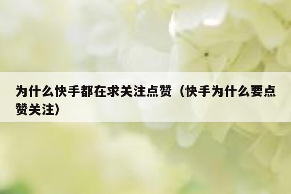 为什么快手都在求关注点赞(快手为什么要点赞关注) 第1张 为什么快手都在求关注点赞(快手为什么要点赞关注) 第1张