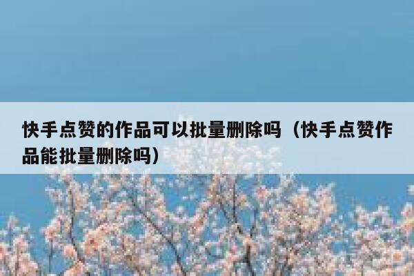 快手点赞的作品可以批量删除吗(快手点赞作品能批量删除吗) 第1张 快手点赞的作品可以批量删除吗(快手点赞作品能批量删除吗) 第1张