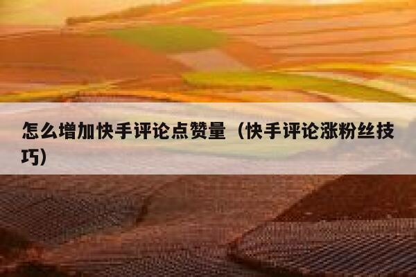 怎么增加快手评论点赞量（快手评论涨粉丝技巧） 第1张