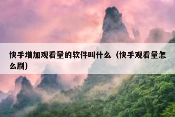 快手增加观看量的软件叫什么（快手观看量怎么刷） 第1张