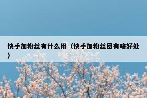 快手加粉丝有什么用（快手加粉丝团有啥好处） 第1张