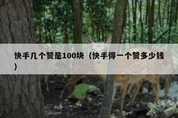快手几个赞是100块（快手得一个赞多少钱） 第1张