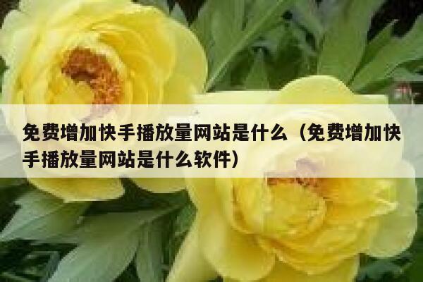 免费增加快手播放量网站是什么(免费增加快手播放量网站是什么软件) 第1张 免费增加快手播放量网站是什么(免费增加快手播放量网站是什么软件) 第1张