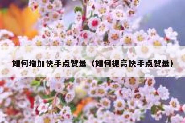 如何增加快手点赞量（如何提高快手点赞量） 第1张