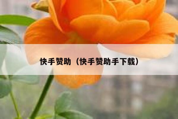 快手赞助（快手赞助手下载） 第1张