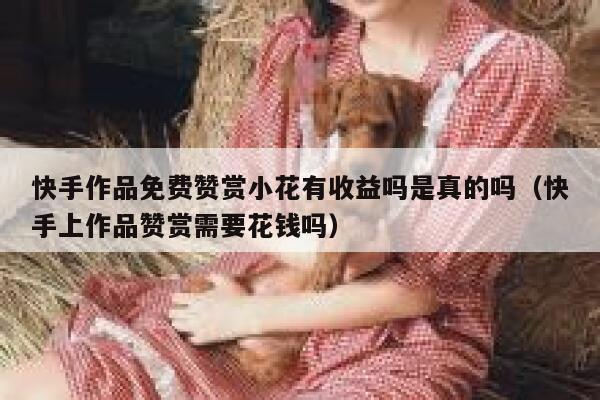 快手作品免费赞赏小花有收益吗是真的吗（快手上作品赞赏需要花钱吗） 第1张