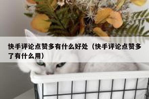 快手评论点赞多有什么好处（快手评论点赞多了有什么用） 第1张