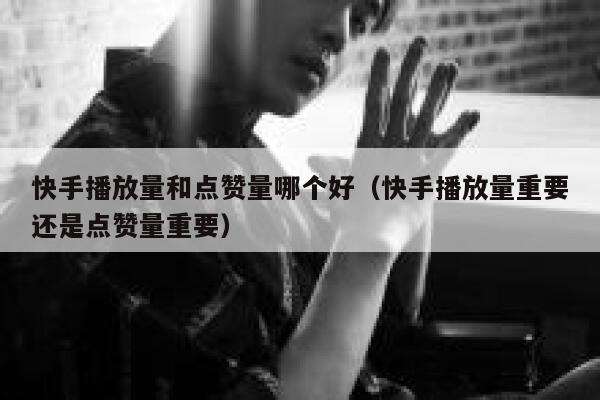 快手播放量和点赞量哪个好（快手播放量重要还是点赞量重要） 第1张