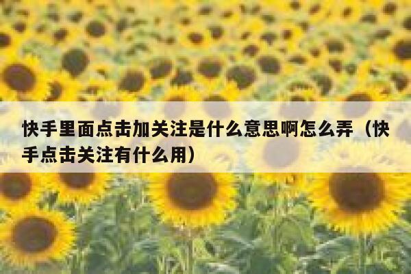 快手里面点击加关注是什么意思啊怎么弄（快手点击关注有什么用） 第1张
