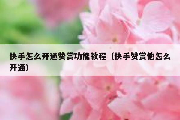 快手怎么开通赞赏功能教程(快手赞赏他怎么开通) 第1张 快手怎么开通赞赏功能教程(快手赞赏他怎么开通) 第1张