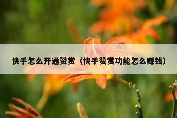 快手怎么开通赞赏(快手赞赏功能怎么赚钱) 第1张 快手怎么开通赞赏(快手赞赏功能怎么赚钱) 第1张