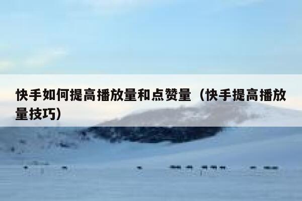 快手如何提高播放量和点赞量(快手提高播放量技巧) 第1张 快手如何提高播放量和点赞量(快手提高播放量技巧) 第1张