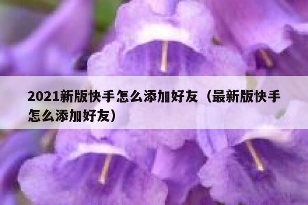 2021新版快手怎么添加好友（最新版快手怎么添加好友） 第1张