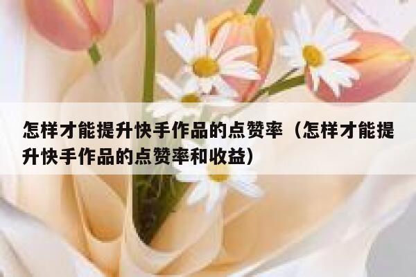 怎样才能提升快手作品的点赞率(怎样才能提升快手作品的点赞率和收益) 第1张 怎样才能提升快手作品的点赞率(怎样才能提升快手作品的点赞率和收益) 第1张