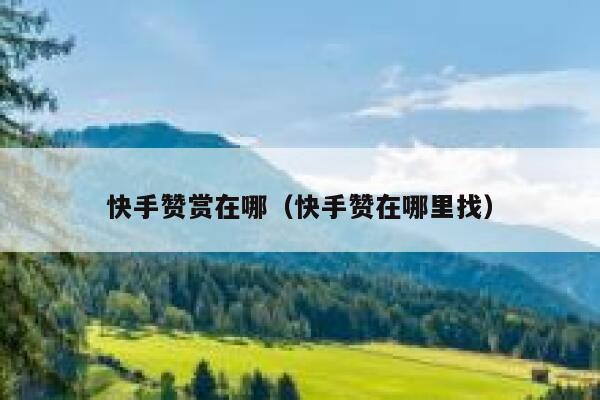 快手赞赏在哪(快手赞在哪里找) 第1张 快手赞赏在哪(快手赞在哪里找) 第1张