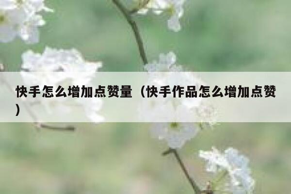 快手怎么增加点赞量(快手作品怎么增加点赞) 第1张 快手怎么增加点赞量(快手作品怎么增加点赞) 第1张