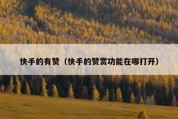 快手的有赞（快手的赞赏功能在哪打开） 第1张