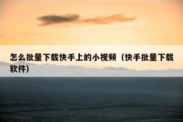 怎么批量下载快手上的小视频（快手批量下载软件） 第1张