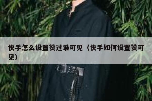 快手怎么设置赞过谁可见（快手如何设置赞可见） 第1张