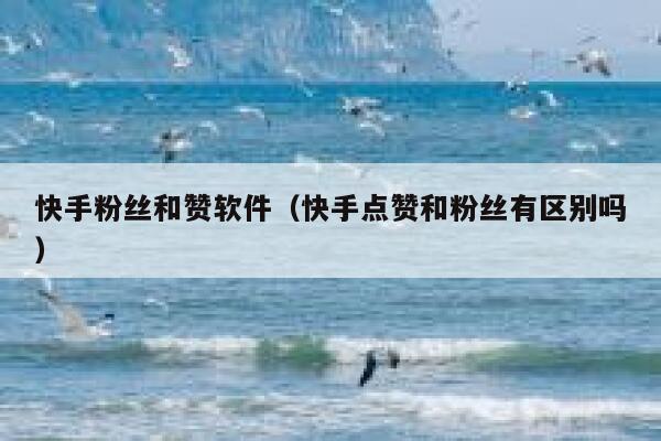 快手粉丝和赞软件（快手点赞和粉丝有区别吗） 第1张