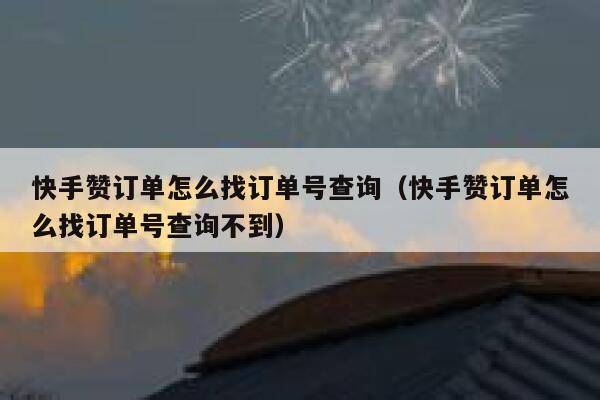 快手赞订单怎么找订单号查询（快手赞订单怎么找订单号查询不到） 第1张