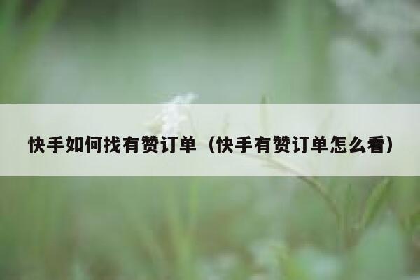 快手如何找有赞订单（快手有赞订单怎么看） 第1张