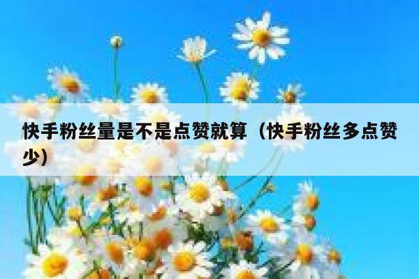 快手粉丝量是不是点赞就算（快手粉丝多点赞少） 第1张