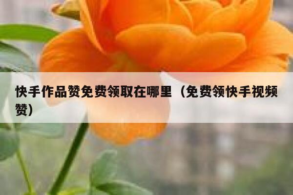 快手作品赞免费领取在哪里（免费领快手视频赞） 第1张